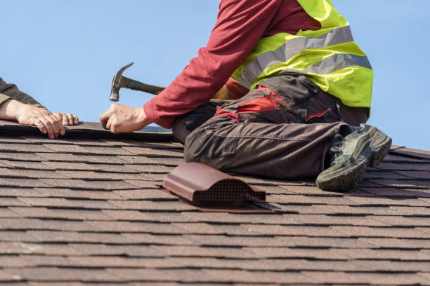 Best Metal Roofing Contractor  in Louisville, GA